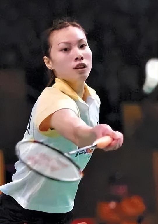 杨似乎不再 杨似乎不再