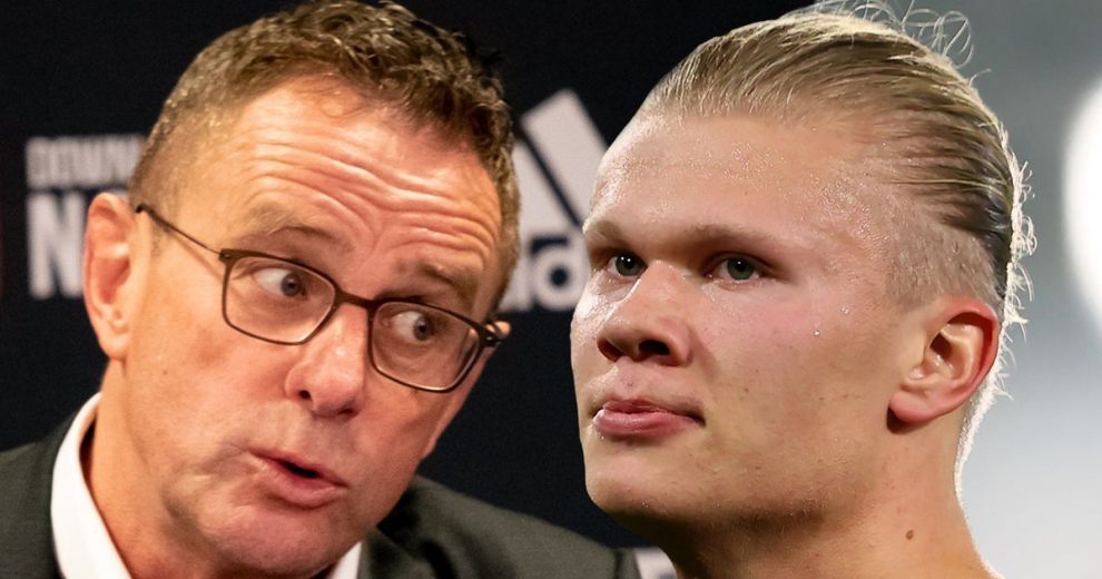 成明确分工 成明确分工